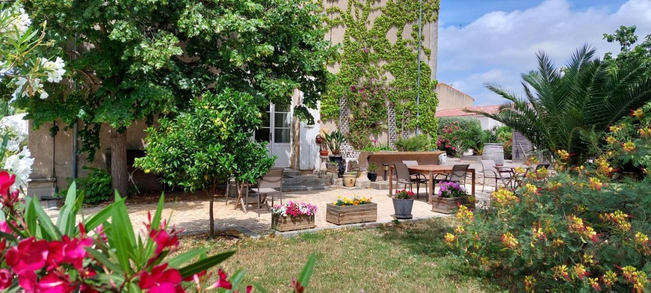 Maison Matisse Saint-Nazaire-d'Aude Экстерьер фото