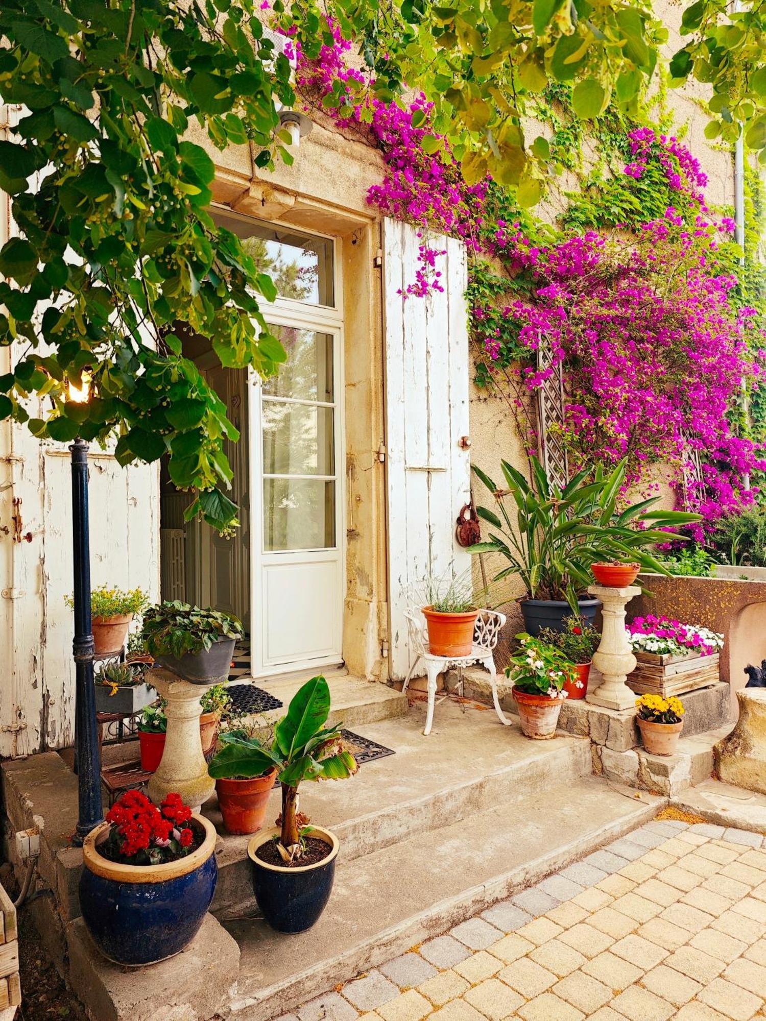Maison Matisse Saint-Nazaire-d'Aude Экстерьер фото